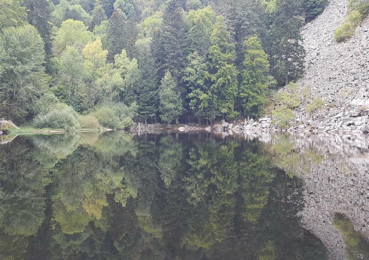 Naturezenkota Mittlach Eksteriør bilde