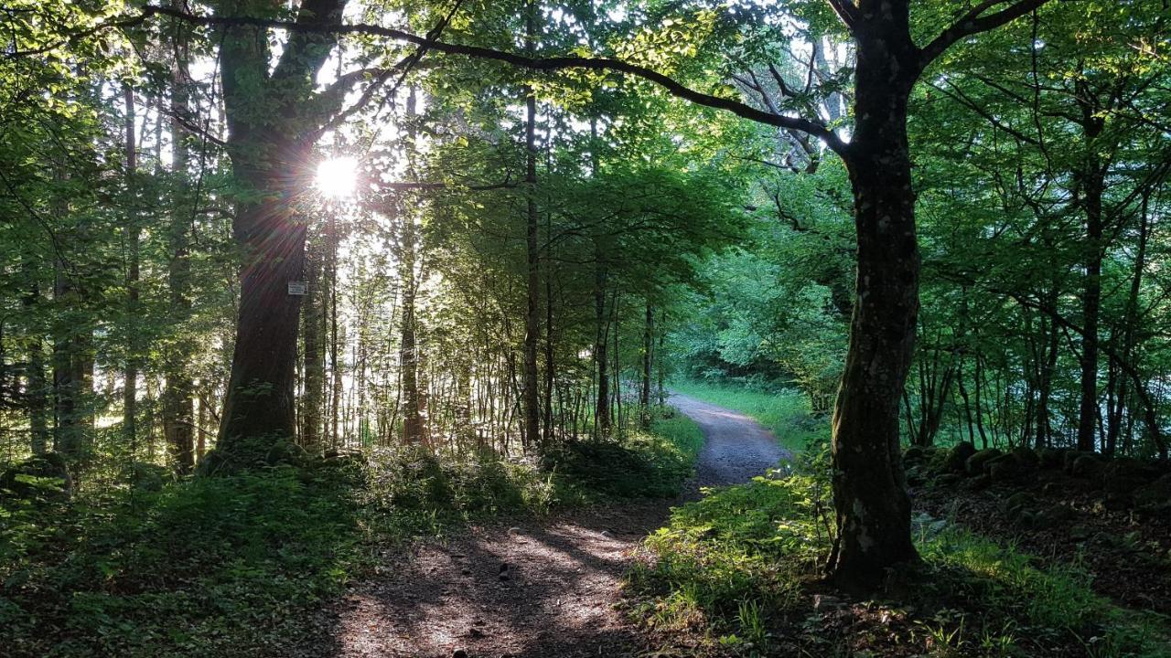 Naturezenkota Mittlach Eksteriør bilde